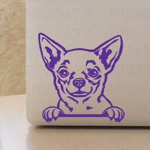 May include: Purple silhouette of a chihuahua peeking over a surface. The chihuahua is looking directly at the viewer with a friendly expression.