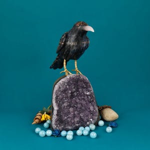 Hand-Carved Sodalite Bird with Rose Quartz Beak on Amethyst Base | Gemstone Animal Figurine | Crystal Healing Home Décor.