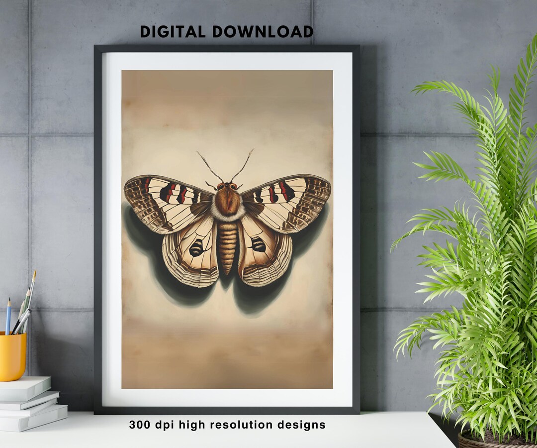 Vintage Moth Printable Wall Art Butterfly Print Insect Wall Art Boho ...