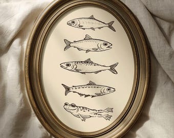 Vintage Sardine Fish Wall Art, Funny Frog Fish Print, Minimalist Hand-Drawn Fish and Frog, Quirky Kitchen Decor, Coastal Cottage Wall Art