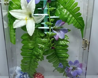 Recinto para arañas saltadoras. Apertura frontal.