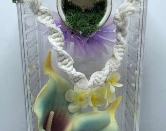 Recinto para arañas saltadoras. Apertura frontal.