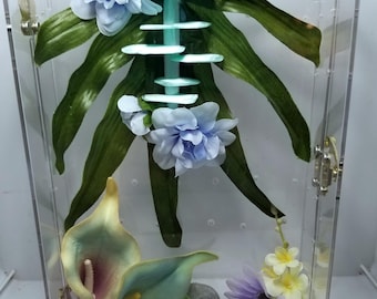 Recinto para arañas saltadoras. Apertura frontal.