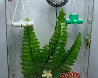 Recinto para arañas saltadoras. Apertura frontal.