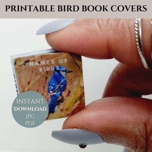 Puede incluir: Portada de libro imprimible con un arrendajo azul posado en una rama con hojas verdes. La portada tiene el texto "Names of Birds" en letras blancas. La portada del libro est&aacute; siendo sostenida por una mano.