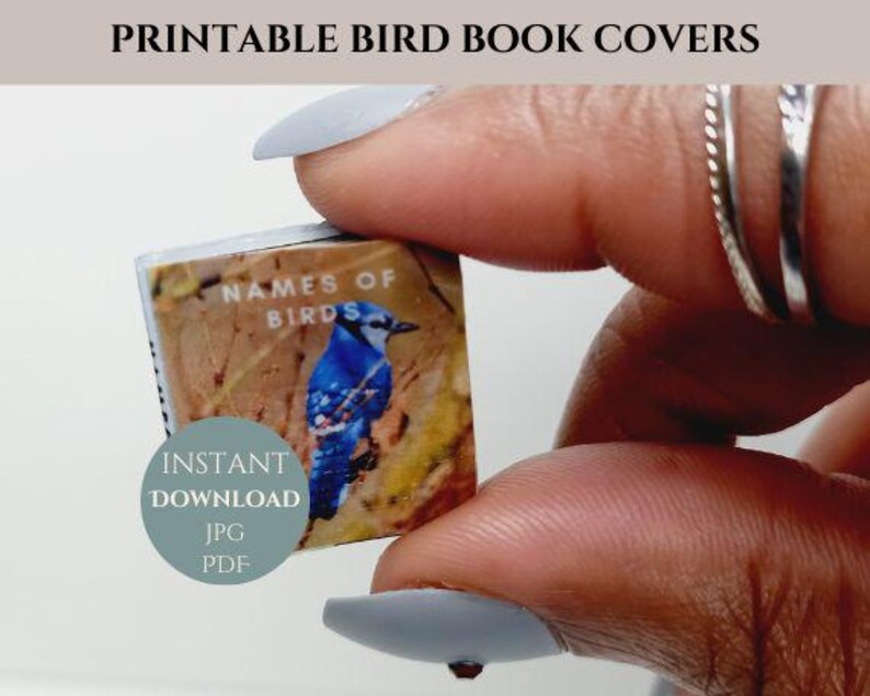 Puede incluir: Portada de libro imprimible con un arrendajo azul posado en una rama con hojas verdes. La portada tiene el texto "Names of Birds" en letras blancas. La portada del libro est&aacute; siendo sostenida por una mano.