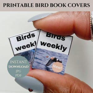 Puede incluir: Dos portadas de libros imprimibles con el texto "Birds weekly" en ellas. Una portada presenta una garza azul y la otra presenta un pato en vuelo. El texto "New!" est&aacute; en la portada del pato.