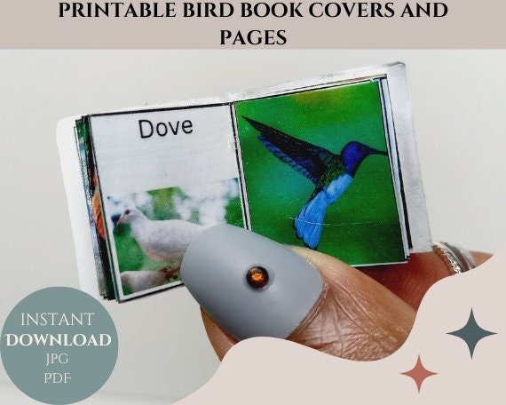 6 Printable Readable Miniature Bird Book Covers and Pages With ...