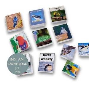 Puede incluir: Una colecci&oacute;n de 10 portadas de libros imprimibles con diferentes tipos de aves. Las portadas son coloridas y presentan ilustraciones de aves, incluyendo loros, b&uacute;hos y tucanes. El texto en las portadas incluye los nombres de las aves y los tipos de aves, como "Aves &Aacute;rticas" y "Aves Tropicales".