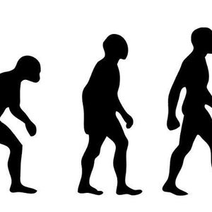Könnte beinhalten: Schwarz-Weiß-Illustration, die die menschliche Evolution zeigt, beginnend mit einem Primaten bis hin zu einer Person, die einen Hund an der Leine führt. Silhouetten vor weißem Hintergrund.