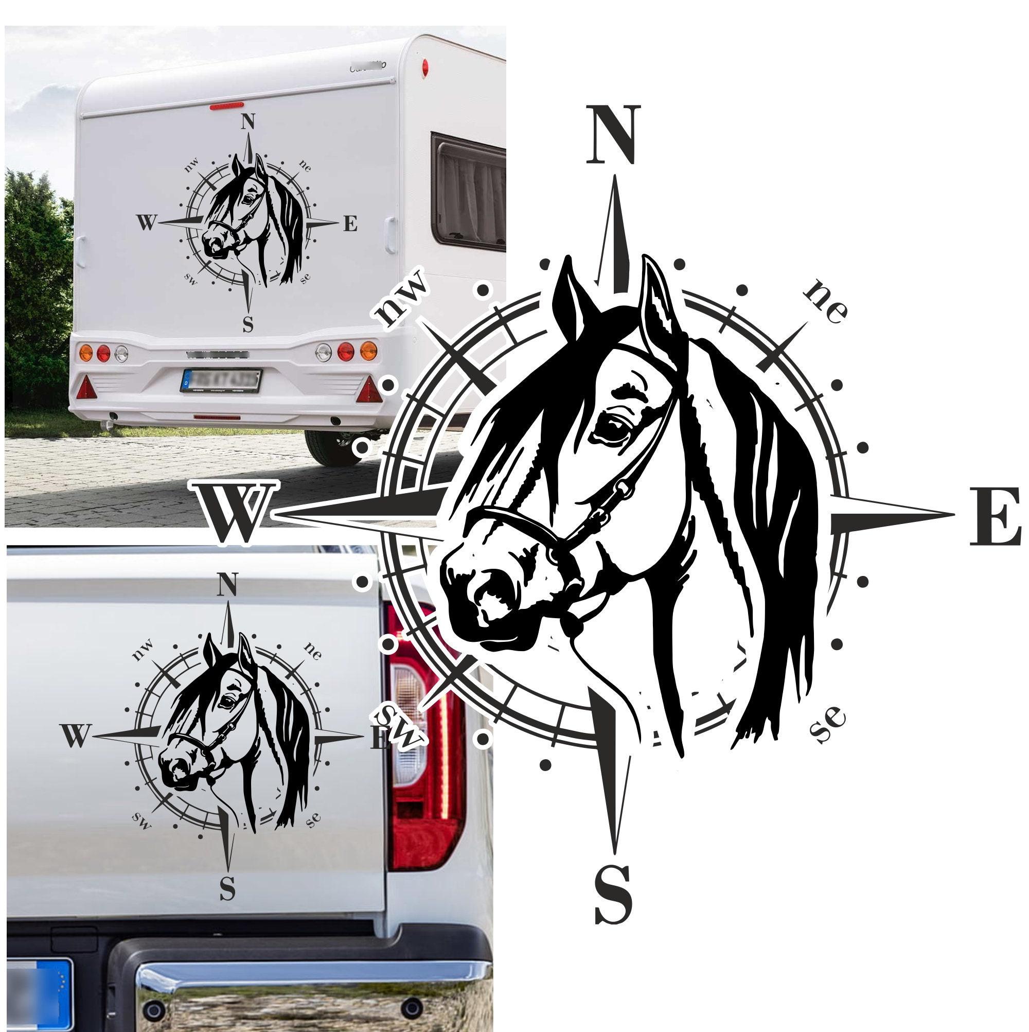 Adesivo Decorativo Testa Di Cavallo Pony 75 Cm – OFF CENTRE DESIGN, Per Rimorchio Equitazione, Design Fuori Centro