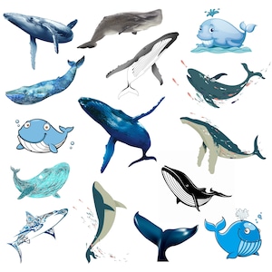 Whale Clipart PNG, Blue Whale, Humpback Whale, Whale Transparent, Whale Digital, Cute Whale, Whale Watercolor, High Quality