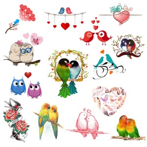 Love Birds Cilpart PNG, Cute Birds, Love Design, Bird Cartoon Digital, Bird Transparent, Alta calidad