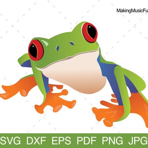 May include: A green tree frog with red eyes and orange feet. The frog is facing the right side of the image and has a white belly.
