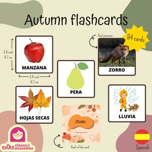 Printable Flashcards of the Autumn, Educational Flashcards, Learning for Kids, Montessori Flashcards, Preschool Flashcards, Spanish