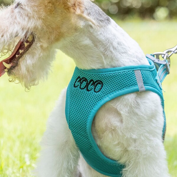 Boy Dog Harness Etsy