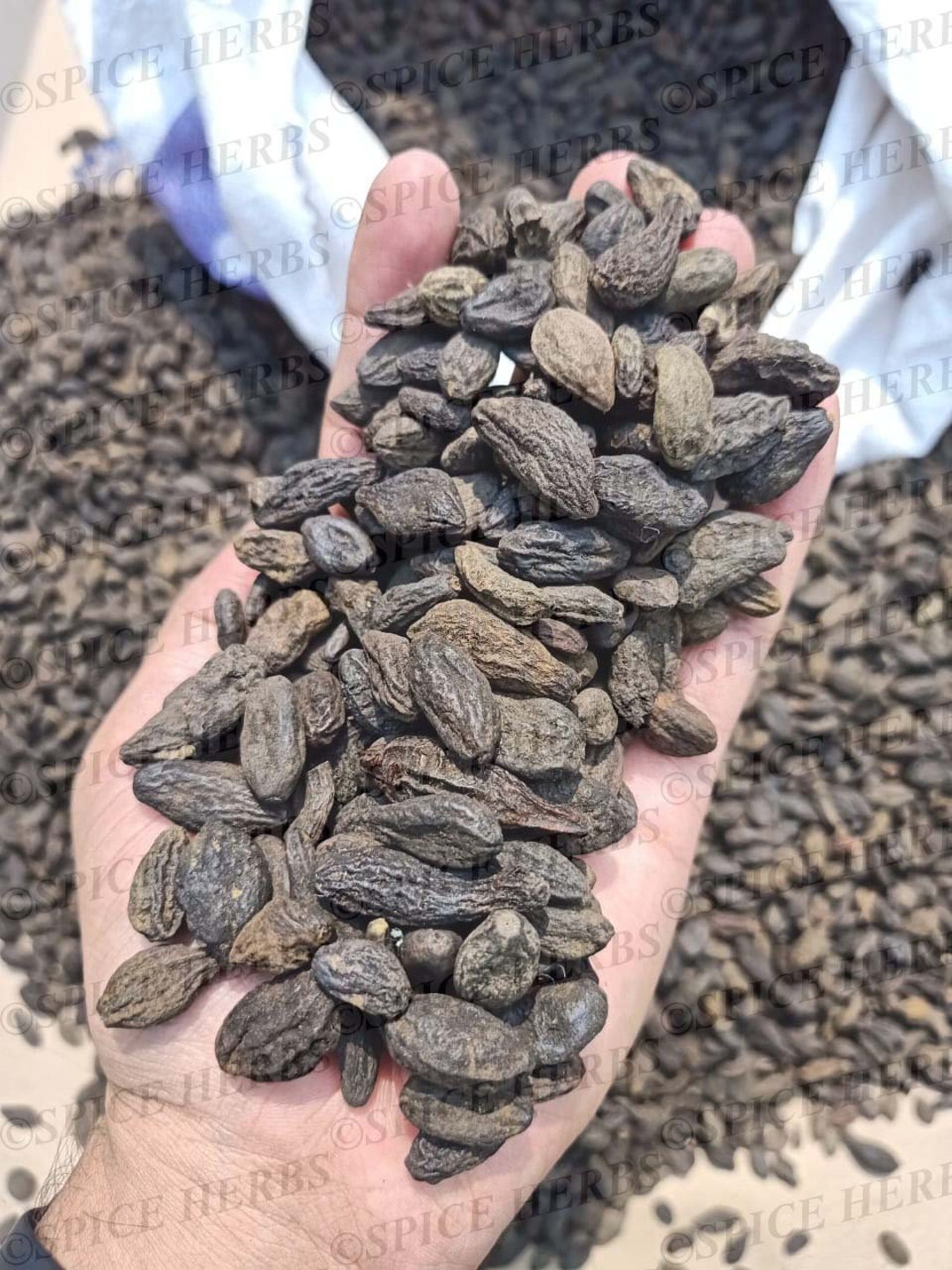 Katta butts porno film onlayn Toliq mushuk cumshots