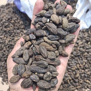 Harad noir | Choti Harad | Poudre de Laghu Harad | Herbe de myrobalan | Haritaki | Terminalia Chebula | Himej noir | Petit Harad noir