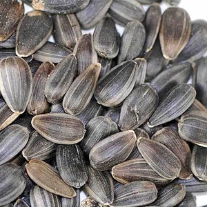 Sunflower Seeds