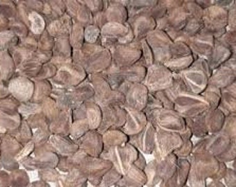 Cordifolia Seeds/Khareti Seeds/Powder/Bala Beej/Atibala/Abutilon Indicum/Bala Beej Powder/Country Mallow/Sida /Beejband Powder/Bhadra Seed