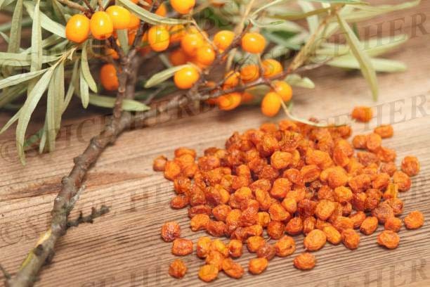 Dried Sea Buckthorn | Seaberry | Himalayan Berry | Organic Sea ...