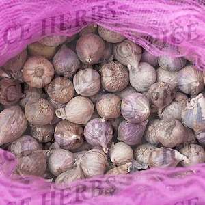 Puede incluir: Una bolsa de malla rosa llena de una gran cantidad de pequeños dientes de ajo de color marrón púrpura.