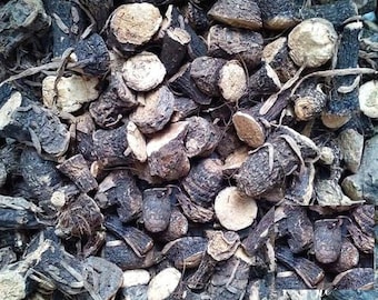 Curculigo Orchiodes Gaertn, Black Musli, Natural Kali Musli, Musli Kali, Curculigo orchioides
