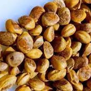 Chironji | Chiranji | Charoli | Buchanania Lanzan |Almondette Seeds