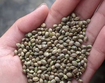 Organic Seeds | HempbirdSeed