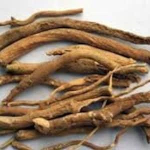 Puede incluir: Una colecci&oacute;n de ra&iacute;ces secas, de color marr&oacute;n claro y retorcidas. Las ra&iacute;ces miden aproximadamente 25 cm de largo y tienen una textura rugosa y fibrosa.