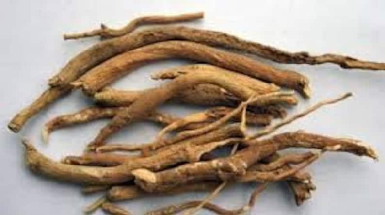 Puede incluir: Una colecci&oacute;n de ra&iacute;ces secas, de color marr&oacute;n claro y retorcidas. Las ra&iacute;ces miden aproximadamente 25 cm de largo y tienen una textura rugosa y fibrosa.