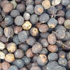May include: A close-up view of a pile of small, round, brown and black seeds. The seeds are slightly wrinkled and have a rough texture.