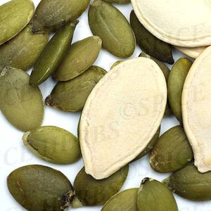 100% Greek Organic Pumpkin Loose Seeds | Cucurbita Pepo | Organic Seminole Pumpkin Seeds | Organic Pumpkin Seeds