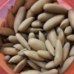 Puede incluir: Una vista cercana de un tazón lleno de piñones marrones claros. Las nueces son lisas y de forma ovalada.