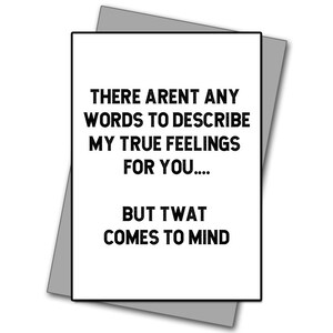 Happy Birthday card - T**t comes to mind - Rude card - Funny card - Funny Birthday card - Rude Birthday card - Friend birthday card