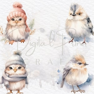 Aquarell süße Vögel Bundle - 16 Vögel Clipart PNGs, Herbst Aquarell Clipart Bündel, bunte Vögel Clipart, süße Herbstvögel Clipart