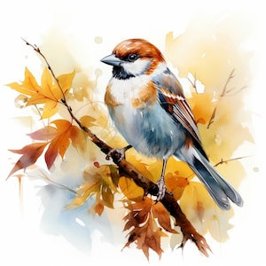 16 Sparrow Autumn Leaves Clipart, Forest Little Bird, Watercolor JPG, Ideal For Postcards, Junk Journal. Paper Craft, Digital Printable Art
