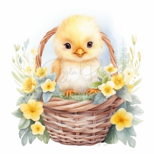 Chicken Yellow Flower Basket Clipart, 13 High Quality JPGs, Chicken Clipart, Digital Planner, Junk Journaling, Watercolor Clipart, Gift Card
