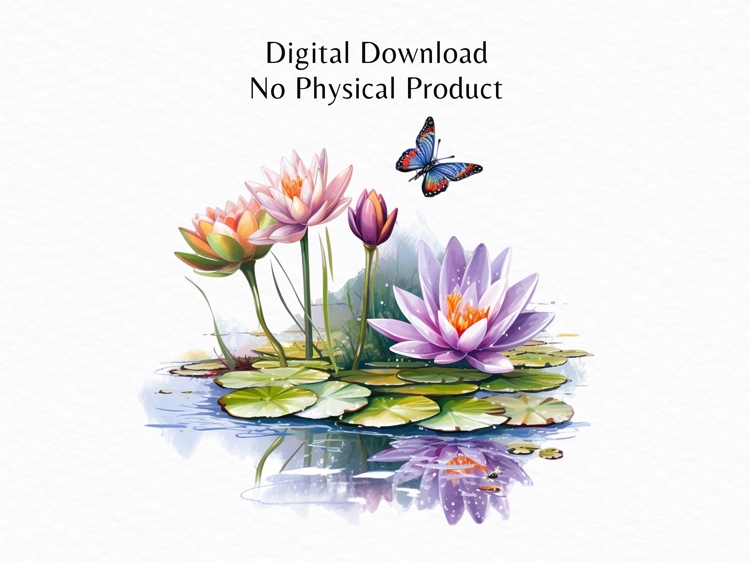 Aquarell Lily Teich Clipart PNG Bundle transparent und JPG20 Aquarell