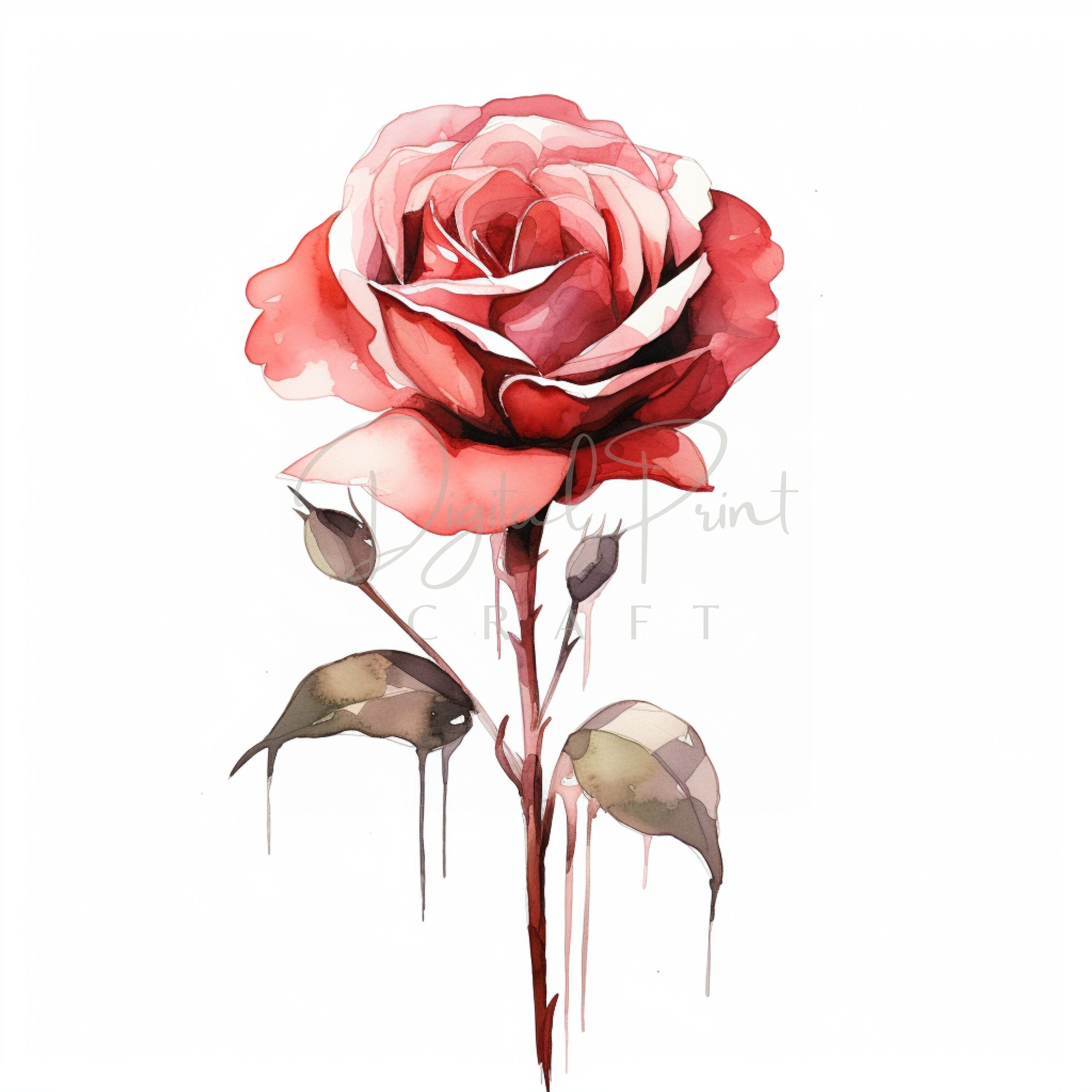 Watercolor Roses Print Clipart, Red Rose Floral Art, 12 JPG, Printable ...