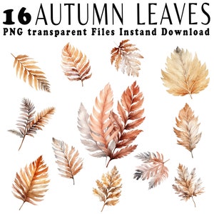 Paquete de imágenes prediseñadas de otoño en acuarela Hojas de otoño en acuarela Hojas de otoño clipart png Hojas de arce Acogedor png Clipart para uso comercial png