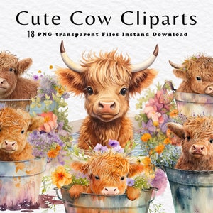 Clipart di mucca scozzese a pelo lungo - 18 PNG di alta qualità - Creazione di carta digitale, pianificatore digitale, acquerello - Download digitale