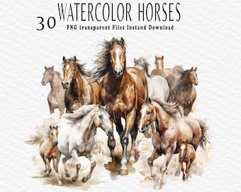 Horses Watercolor Clipart - 30 Horse Illustrations, Animals in the Nature, PNG, Instant Digital Download, Commercial Use