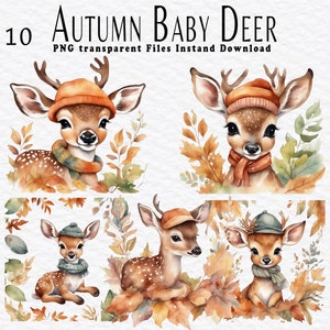 Baby Hirsch Clipart, Herbst Tier Clipart, süßes Reh, Babyparty Clipart, transparente PNG, kommerzielle Nutzung, Babyparty Clipart PNG-Dateien
