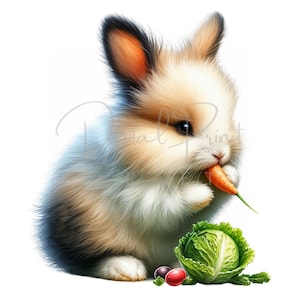 Realistisches, flauschiges Häschen - 15 hochwertige PNGs - Bunnie Clipart, Gemüse Kaninchen, digitaler Planer, Junk Journaling, digitaler Download