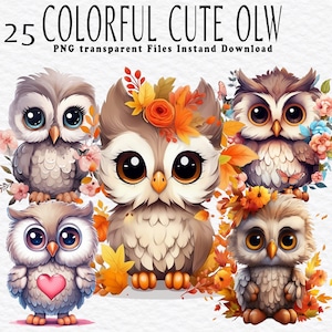 Buntes niedliches Eulen Clipart PNG Bundle, Aquarell PNG-Dateien für Sublimationsdesign PNG, Bündel lebendige Farben, Eule Clipart, Eulenpaket