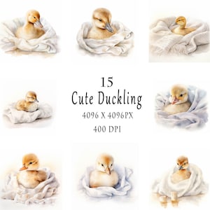 Cute Duckling Clipart - Watercolor Baby Ducks, Watercolor Mallard Ducklings, 15 JPG Files, Digital download,Paper craft,junk journals