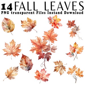 Paquete de imágenes prediseñadas de otoño en acuarela Hojas de otoño en acuarela Hojas de otoño clipart png Hojas de arce Acogedor png Clipart para uso comercial png