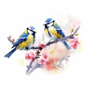 16 Eurasian Blue Tit Clipart, Forest Little Bird, Watercolor JPG, Ideal For Postcards, Junk Journal. Paper Craft, Digital Printable Art
