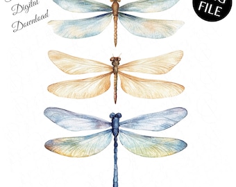 Dragonflies Clipart, Watercolor Dragonfly PNG, T Shirt Design, Watercolor Insect Clipart,Digital Download for Crafts & Journals,Tumbler Wrap